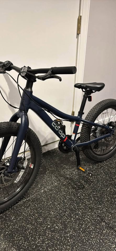 REI CO-OP 20” Kids Bike